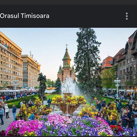 Apartament Lux Crialy - 75 M2 - Free Parking Timișoara Zewnętrze zdjęcie