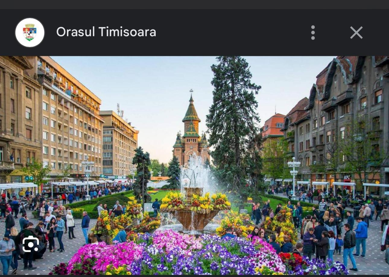 Apartament Lux Crialy - 75 M2 - Free Parking Timișoara Zewnętrze zdjęcie